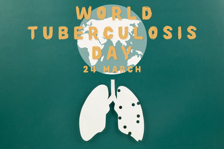 World TB day. Top view Lungs paper decorative symbol on green background, copy space, concept of world tuberculosis day, no tobacco, Medical and healthcareの写真素材