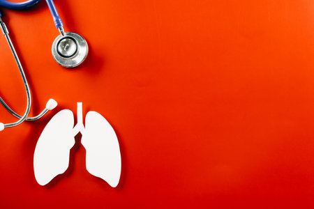 World Tuberculosis Day. Overhead lungs paper symbol and medical stethoscope on red background, lung cancer awareness, copy space concept of world TB day, banner background, pneumonia awarenessの写真素材