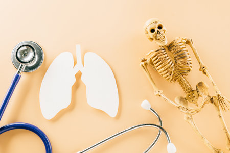 World TB Day. Top view of lungs paper symbol and medical stethoscope on pastel background, copy space, lung cancer awareness, concept of world tuberculosis day, banner background, pneumoniaの写真素材