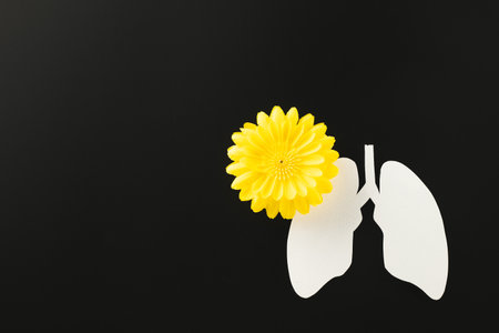 World Tuberculosis Day. Top view lungs paper symbol and yellow flowers on black background, lung cancer awareness, copy space concept of world TB day, banner background, no tobaccoの写真素材
