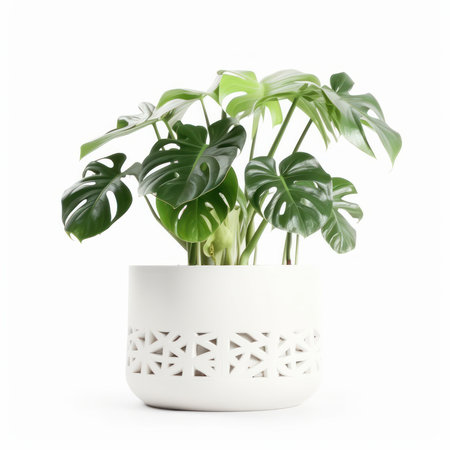 Fresh and green monstera plant in a pot on a white background is perfect for your gardening or botanical project. AI Generative.の素材