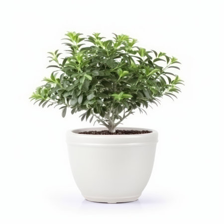 Minimalist indoor decor made easy with a potted plant in a simple ceramic container against a clean white background. Serenity at home. AI Generative.の素材