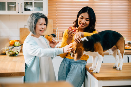 A kitchen scene at home captures the joy of a young Asian woman, her mother, and their beagle dog. Their togetherness and happiness showcase the concept of pet and cute animal companions. Pet loveの写真素材