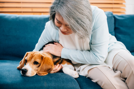 In their cozy living room, an old lady and her Beagle puppy share warm moments on the sofa. Their friendship and happiness create a haven of love and warmth in this heartwarming pet portrait.の写真素材