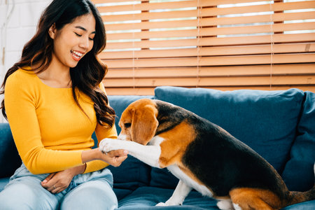 In their cozy house, a woman and her Beagle dog create a delightful portrait of loyalty and friendship on the sofa. The cute dogs playful antics bring joy to their exclusive time together. Pet loveの写真素材