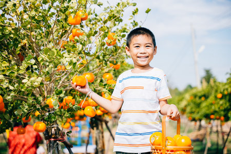 A smiling boy eagerly reaches for an orange in a lush orange tree garden. His joyful portrait amidst the farm captures the childs excitement emphasizing the beauty of harvesting fresh fruits.の写真素材