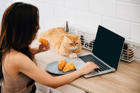 In this heartwarming home office scene, a young woman finds comfort in her Scottish Fold cats presence while typing on her laptop at her desk, showcasing the beauty of work and pet companionship.の写真素材