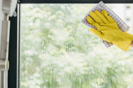 A cheerful maid sprays and wipes office windows ensuring purity and transparent cleanliness. Her dedication to housework emphasizes hygiene and sparkling windows.の写真素材