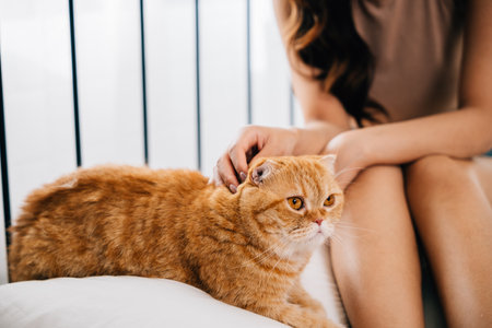 A woman and her furry friend, a Scottish Fold cat, find happiness in each others company while lying in bed. Their togetherness and playful bonding radiate joy and relaxation.の写真素材