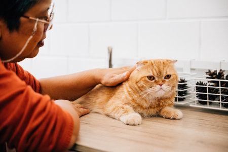 An elderly woman enjoys the company of her mature Scottish Fold cat in a close-up portrait. Wrinkled...