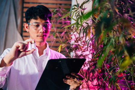 Marijuana researcher Asian man wearing glasses and holding a vial bottle and a clipboard to check list in cannabis sativa hemp plants in cannabis farms, herbal alternative medicineの写真素材