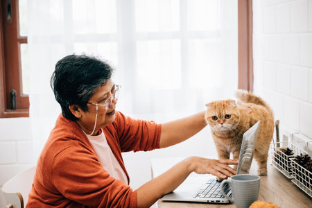 In the morning light, a young woman works on her laptop at home by the window, her elderly cat sitting on the desk beside her. A heartwarming display of togetherness and companionship. pet loveの写真素材