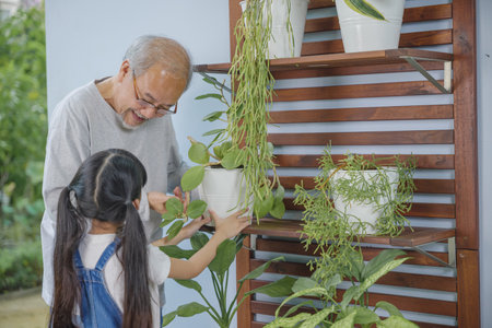 Asian young attractive girl and grandfather standing beside a green potted plant at home held, World Environment Day conceptの写真素材