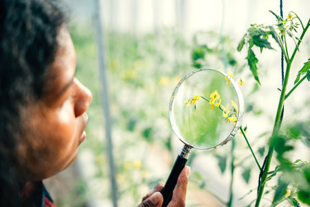 Outdoor garden black woman both gardener and farmer examines plant growth using magnifying glass. Her dedication to nature and sustainability embodies Earth Day and natural agricultural practices.の写真素材