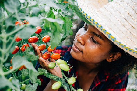 Engaged in seasonal gardening a smiling farmer picks ripe plum tomatoes in a farm greenhouse portrayed in a close-up portrait. Her happiness and confidence showcase care for fresh vibrant produce.の写真素材