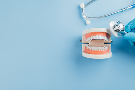 Dentist Day concept. A gloved doctor checks a dental model with a stethoscope on blue. Celebrate dentists, oral health, and teeth care on World Oral Health Day. Flat lay, Top viewの写真素材