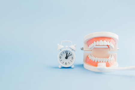 Dentist Day importance. A white alarm clock, toothbrush, and tooth model on blue background reflect...