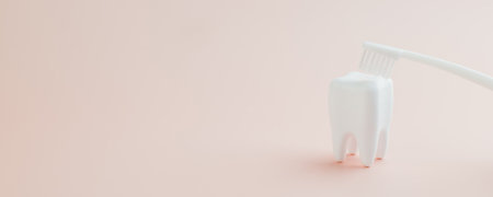 Dentist showcases a teeth model and toothbrush emphasizing oral care Dentistry raises awareness for Dentist Day and World Oral Health Day focusing on brushing and mouth health.の写真素材