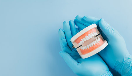 A gloved doctor hand holds a tooth model on a blue background. Celebrating dentists, dental health, and oral care awareness on World Oral Health Day. Flat lay, Top viewの写真素材