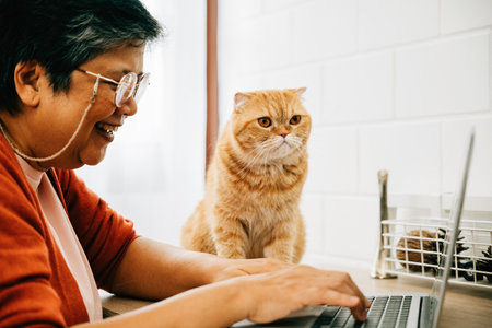 A young woman works on her laptop at home, near the window, while her elderly cat keeps her company on the desk. Their friendship and togetherness make for a heartwarming sight. pet loveの写真素材