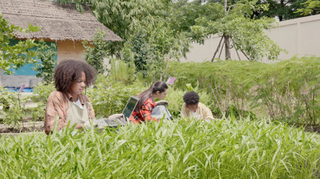 Children group girl and boy of diverse learning environment for plants vegetable at garden farm,...