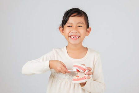 Dentist teaches Asian kid about tooth loss, holding toothbrush and teeth model. Girl smiles with gap, showing healthy dental habits and missing milk teeth. isolated white backgroundの写真素材