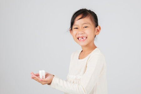 Smiling child holds tooth model, dentist explains tooth loss and mouth gap. Kid girl with happy face learning dental care, children development, and teeth medicine concept.の写真素材