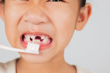 A child brushes teeth, highlighting a tooth gap. The dentist advises on managing tooth loss and keeping the tooth gap clean for proper dental health. isolated white backgroundの写真素材