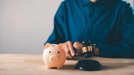 Professional uses gavel for money bank piggy salary services finance pig assessment capital risk tax legal matters, while compliance is ensured during official court budget hearing.の写真素材