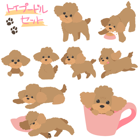 Poodle setのイラスト素材
