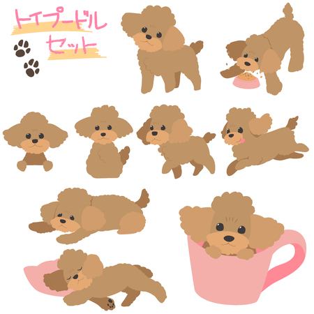 Poodle set