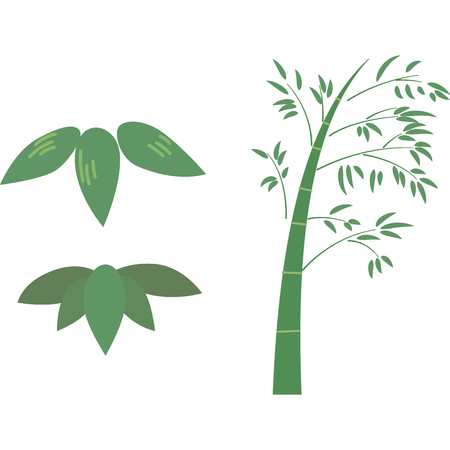 Bamboo parts isolated on whiteのイラスト素材