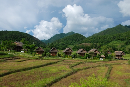 PAI,THAILAND - JUNE 4, 2011   Grass Thatched huts Resort in Paddy field at Pai,Thailand のeditorial素材