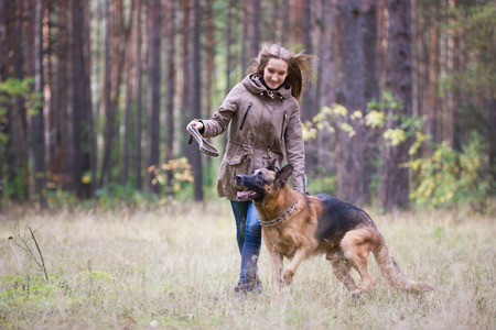 Young attractive woman playing with German Shepherd dog outdoors in the autumn park, telephotoの写真素材