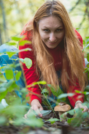 Young woman in red dress gathers mushrooms boletus in the forest, telephotoの写真素材