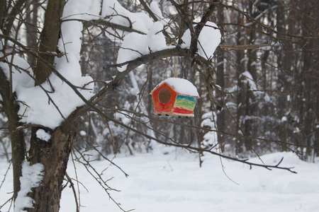 Red barn birdhouse snow covered in winter forestの写真素材