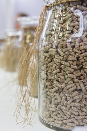Seeds for seedlings and soil in glasses bulbs - agricultural concept
