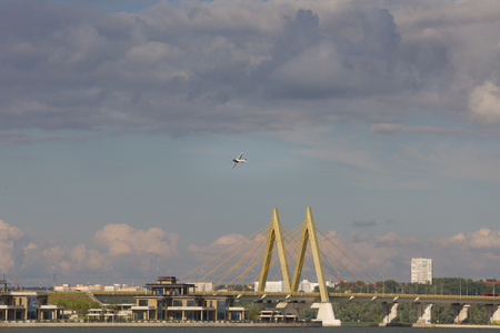 Kazan, Russia - July 22, 2017: Red Bull Air Race - race airplane flies in front of Millennium bridgeのeditorial素材