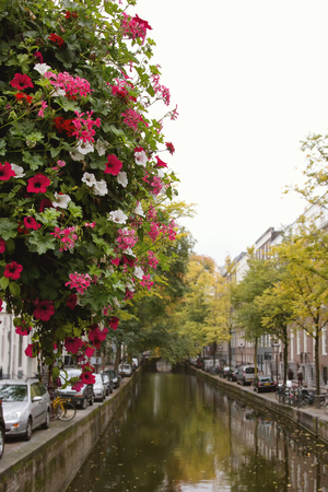 Flowers on canal in Amsterdam, Amstel river, Holland, Netherlandsの写真素材