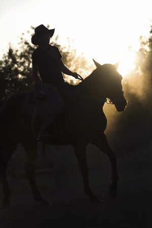Silhouette of a woman riding a horse - sunset or sunriseの写真素材