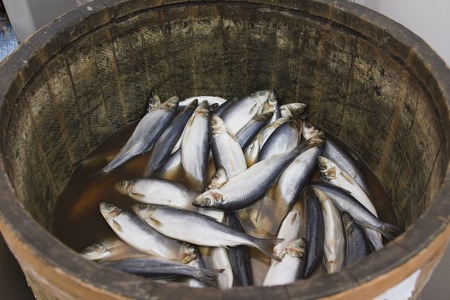 Herring in a wooden barrel - sea fish