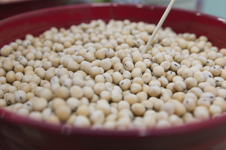 Genetically modified agricultural seeds of plants in the bucket, close upの写真素材