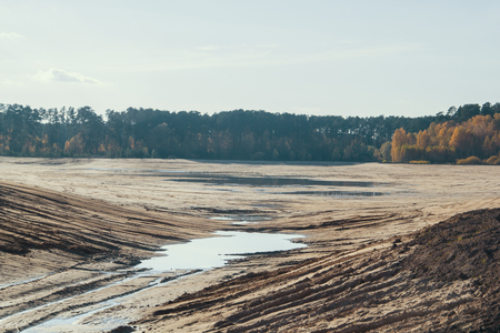 Dry riverbed of lake in forestの写真素材
