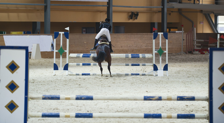 Young female rider on sorrel stallion jumping over hurdle on show jumping competitionの写真素材