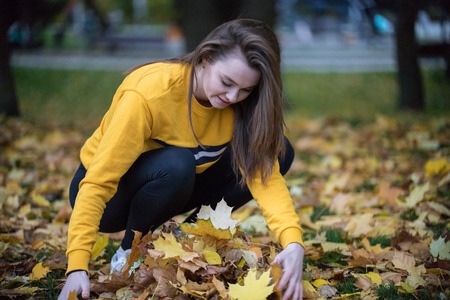 Pretty young woman throwing leaves in a park, enjoyingの写真素材