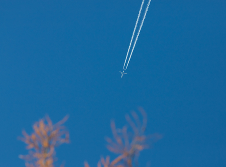 Traveling. A blue sky and autumn twigs. Airplane flies