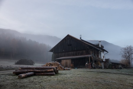 Sawn trees near the house in the mountainsの写真素材