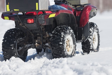 A winter forest at day time. A woman riding big red snowmobile at the day time. Back view