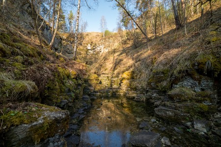 A summer forest with a river in the middle of itの写真素材