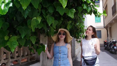 Two young women walking on the street under the trees